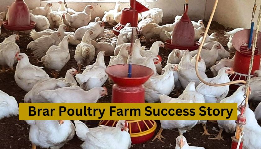 Brar Poultry Farm Success Story