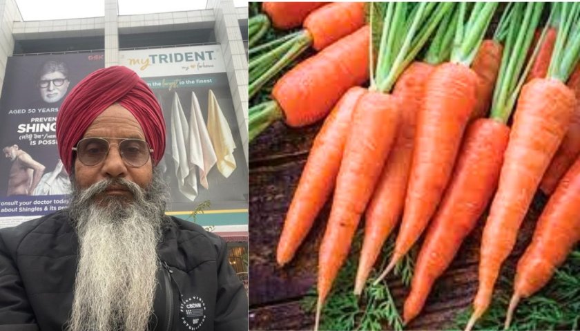 Carrot Farming Success Story